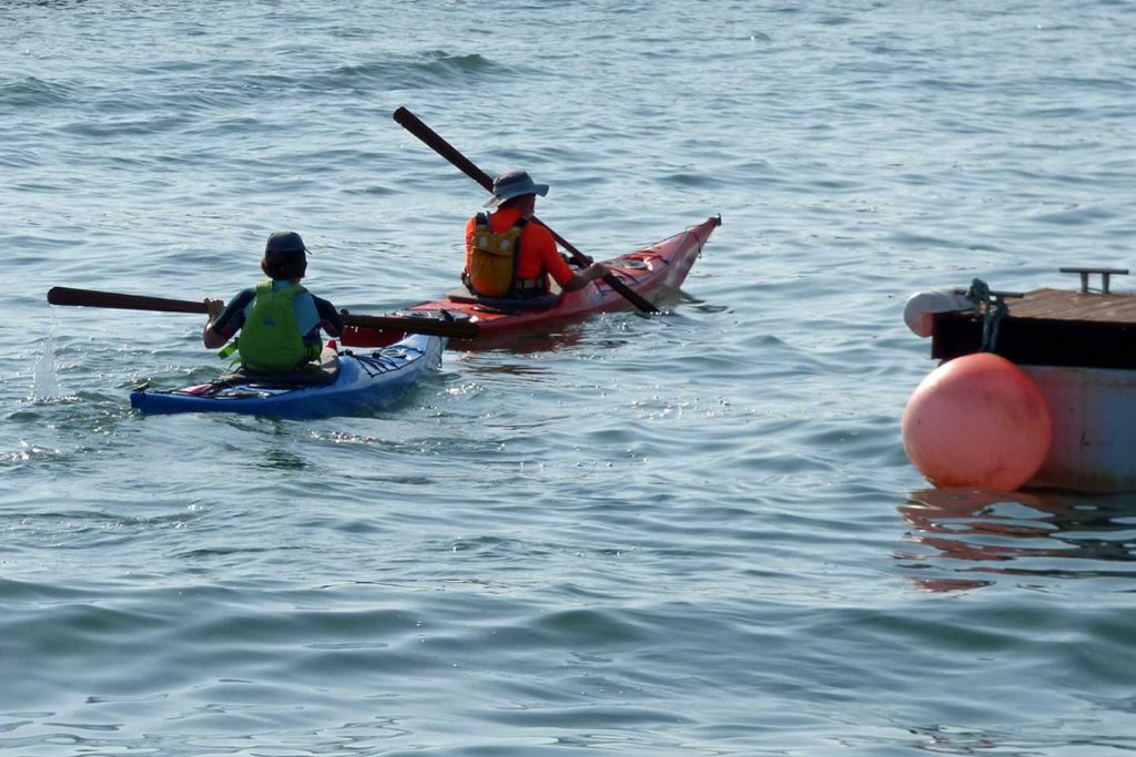 A photo of two canoeists in Fuseta