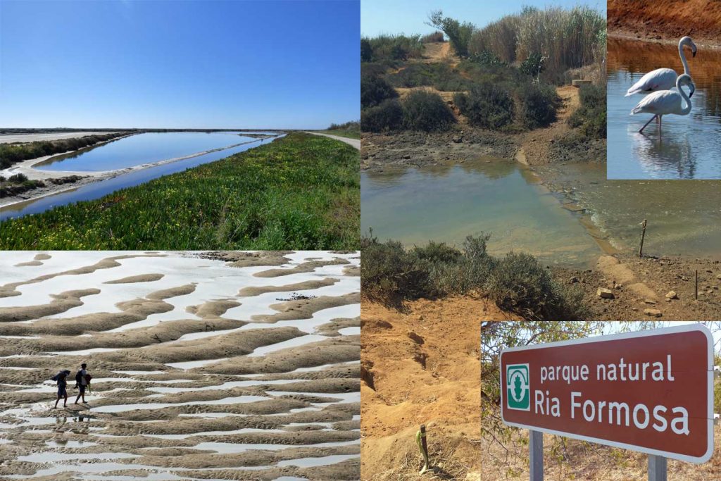A number of different vistas within the Ria Formosa