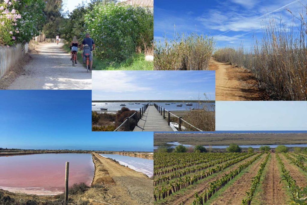 A number of different vistas within the Ria Formosa
