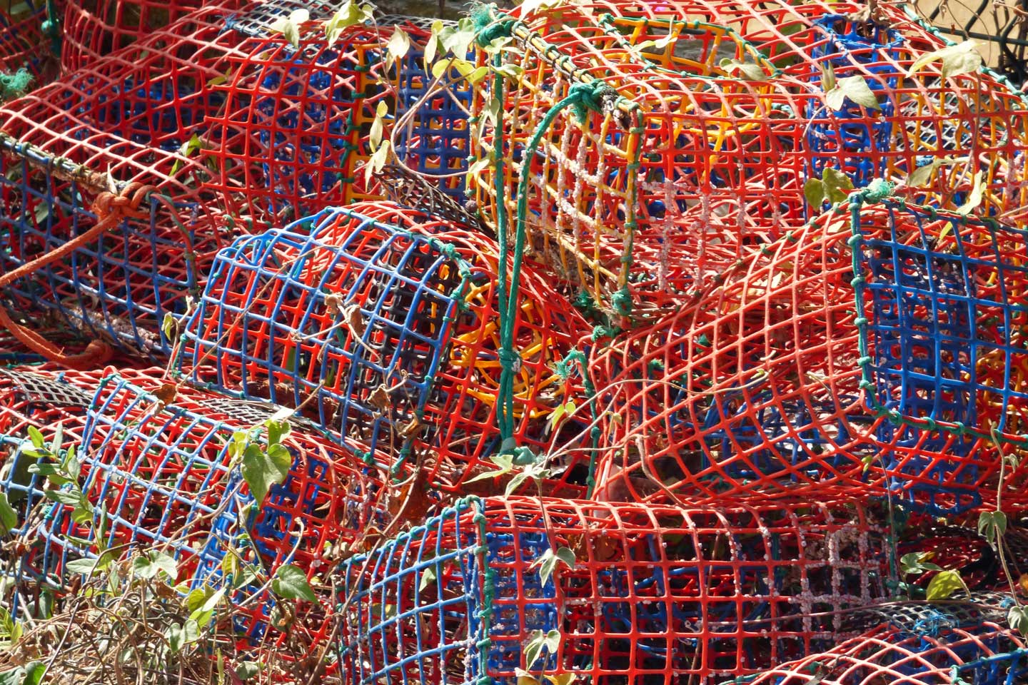 A Photo of crab traps lying neglected in a pile