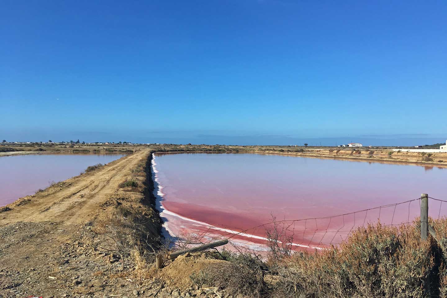 A Photo of pink Salt Pans near Olhao