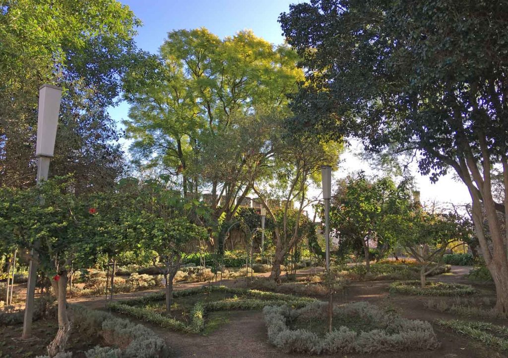 A photo of the garden within the walls of Tavira Castle